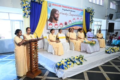 gallery collections rounded rounded-3