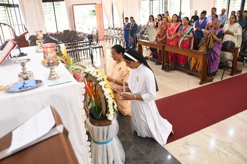 gallery collections rounded rounded-3