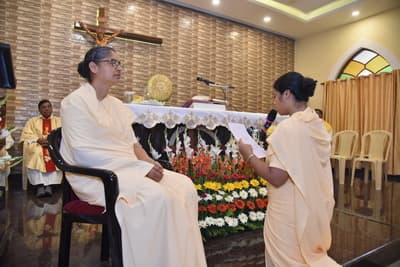 gallery collections rounded rounded-3