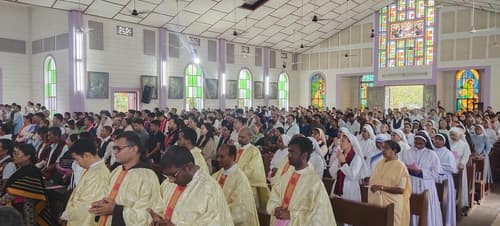 gallery collections rounded rounded-3