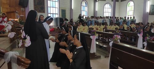 gallery collections rounded rounded-3