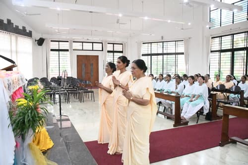 gallery collections rounded rounded-3