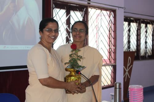 gallery collections rounded rounded-3