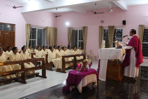 gallery collections rounded rounded-3