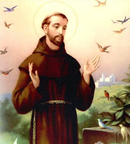 St Francis Of Assisi