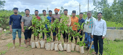 Environmental awareness