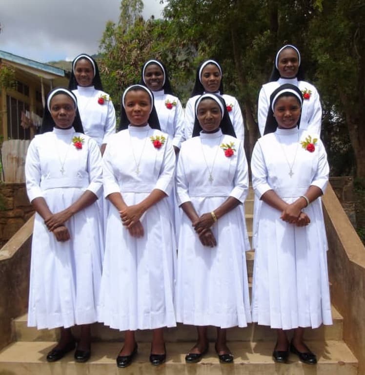 Temporary Profession of African Region